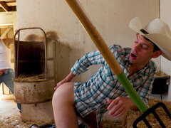 Granja, Gay, Sexo duro