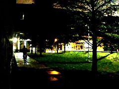 ビッチ, アウトドア, シーメール, ヤリマン