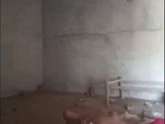 茶髪の, Hd, インド人, 妻