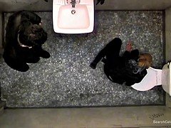 Lieveling, Beroemdheid, Keuken, Naakt, Softcore pornografie, Tieten likken