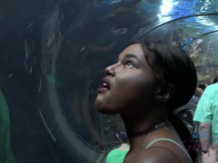 素人, ビーチ, デカ尻, 黒人, 黒人, ヌード, 公共, オッパイの