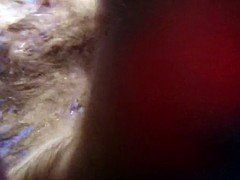 フェラチオ, グループ, オージー, プール