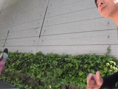 Asiatique, Cul, Sucer une bite, Queue, Chatte, Timide, Adolescente, Nénés