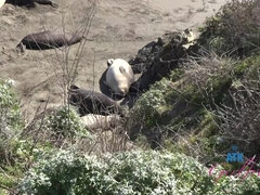 Vingeren, Flashing, Vriendin, Zoenen, Buiten, Openbaar, Kut duiken, Tieten likken