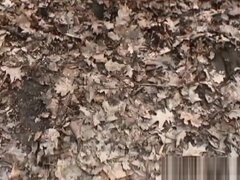 美人, クラブ, Hd, 乳首, 公共, オマンコ, オッパイの, トイレ