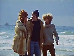 Classic - french 1978 - Hitchhikers In Heat - 04