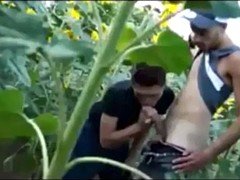 アラブ, フェラチオ, 手コキする