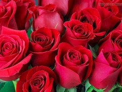 アスtoマウス, 叔母, デカ尻, Hd, 熟年, 淫乱熟女, 母, 義母