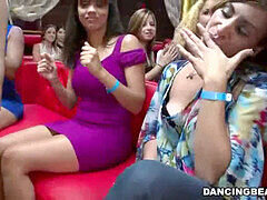 Wild wolves dare to ravage that sexy stripper's snatch during a steamy striptease