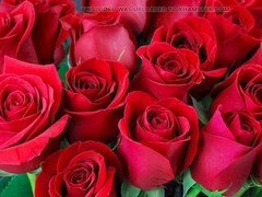 Aus dem arsch in den mund, Tante, Grosser arsch, Indisch, Reif, Milf, Natürlichen titten, Stiefmutter