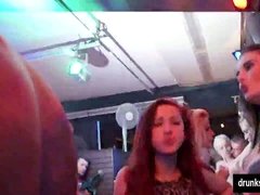 Fête, Public