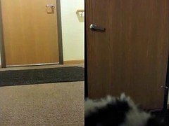 Amateur, Nue  à poil