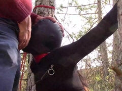 Amateur, Sucer une bite, Bondage, Brunette brune, Gorge profonde, Fétiche, De plein air, Petite femme
