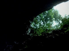 Nana, Gros seins, Blonde, Sucer une bite, Hard, Hd, Chatte, Nénés