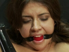 Gebondenheid, Compilatie, Arts, Dominatie, Fetisj, Hardcore, Leer, Spuiten