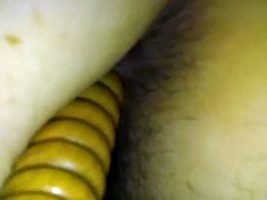 Amateur, Peludo, Esposa