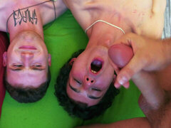 Checa, Gay, Casero