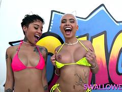 アナル, フェラチオ, チン, ハードコア