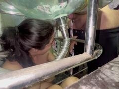 Enthousiasteling, Tante, Grote kont, Scheten, Rijpe lesbienne, Moeder, Stiefmoeder, Toilet