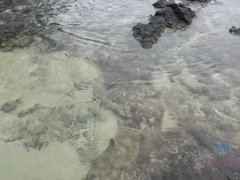 Любители, Ванна, Пляж, Блондинки, Бритые, Душ, Носки, Тату