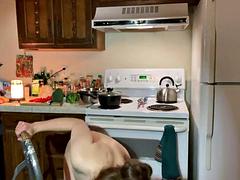 Heres My Bush, Just For Fun. Naked in the Kitchen Episode 98