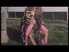 Italiaans, Tieten likken