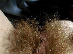 Peludo, Pelirrojo, Voyeur