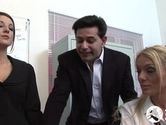 Большой член, Большие сиськи, Минет, Собачьи, Вчетвером, Милф, В офисе, Чулки