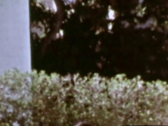 Homosexuelle, Hd, Muscle, De plein air, Rétro ancien
