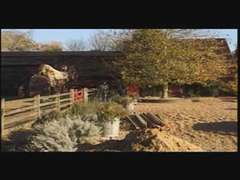 Anal, Britannique, Double pénétration, Jarretelles