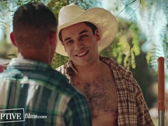 Diep in de keel, Homo, Harig, Interraciaal, Taboe