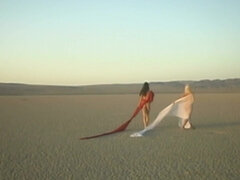 Jesse Jane and Jessica Jaymes play with sex toys in the desert