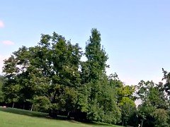 Fit blonde babe fucking in public pov