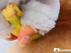 Amateur, Closeup, Hairy, Homemade, Masturbation, Pussy, Solo