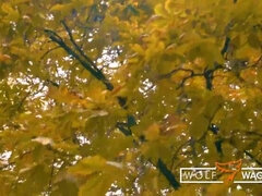 Любители, Минет, Немки, Гостиница, Милф, На природе, От первого лица, Реалити