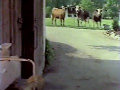 Amateur, Sadomasoquismo, Clasico