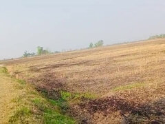 18, アナル, アジア人, 女, 指いじり, 人妻の, インド人, 放尿