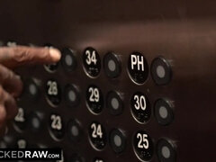 デカチン, 黒人, ブロンド, チン, 異人種間, キス, なめる, ポルノスター