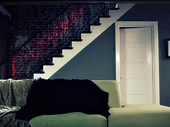Abigail Mac drilled after romantic dinner