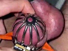 21 minutes of desperate masturbation in a mini chastity cage without a cumshot