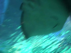 Rubia, Gafas, Pov, Coño, Flaco, Durmiendo, Tatuaje, Tetas