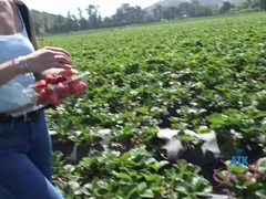 Amateur, Morena, Granja, Novia, Besar, Pov, Coño, Tetas