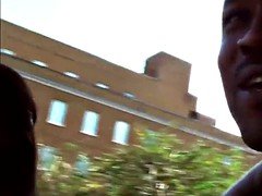 Black Beauty Jasmine Webb