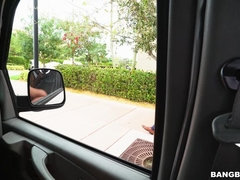 Grote kont, Bruinharig, Autobus, Hondjeshouding, Hardcore, Rijden, Geschoren, Tatoeage