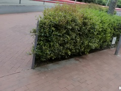 Amerikanisch, Arsch, Blondine, Blasen, Fetisch, Natürlichen titten, Kurzes haar, Titten