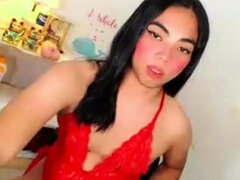 Masturbation, Transsexuelle, Solo, Webcam