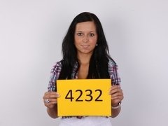 素人, 茶髪の, チェコ, ハメ撮り, 現実