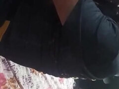 Bruinharig, Hd, Indisch