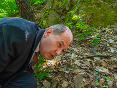 Красотки, Большая жопа, Черные, Брюнетки, Член, Хд, Межрасовый секс, На природе