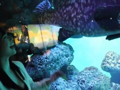 Dingue, Grossier, Petite amie, Japonaise, Nue  à poil, Chatte, Suçant, Nénés